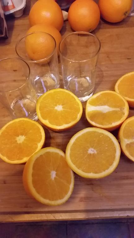 Bed & Breakfast 28 Appartement Met Prive Tuin Άσσεν Εξωτερικό φωτογραφία